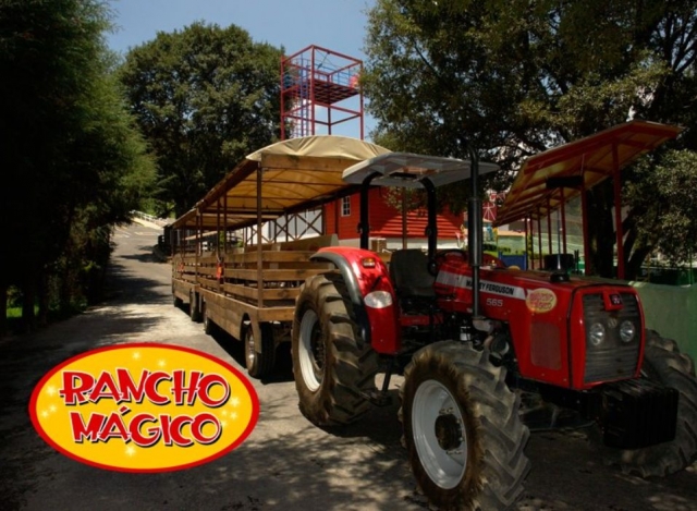 Trenecito en el parque